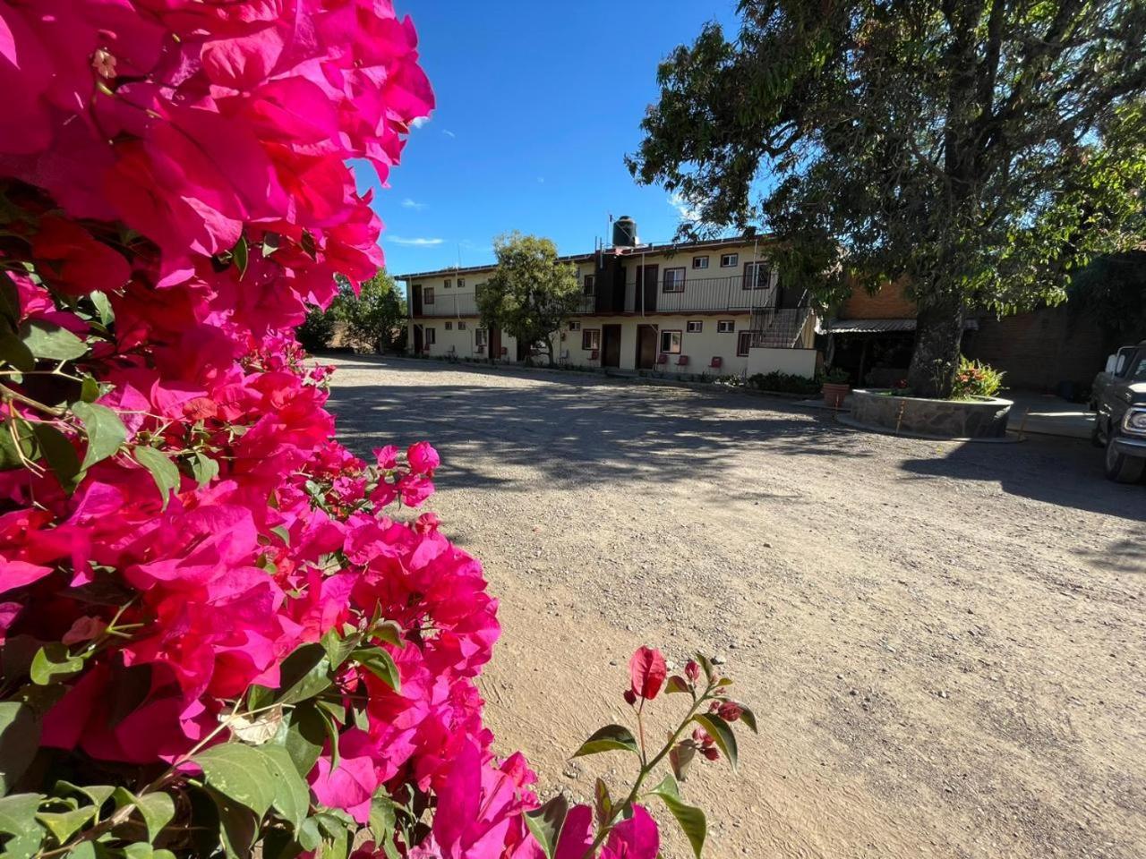 Hotel Meson La Huerta Mascota Esterno foto