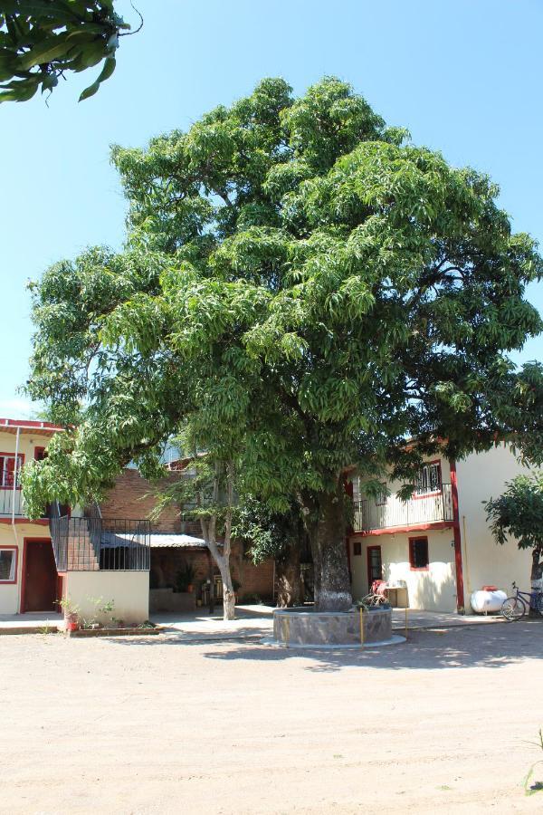Hotel Meson La Huerta Mascota Esterno foto